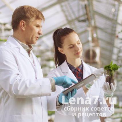 Еда будущего: принципиально новые пищевые продукты