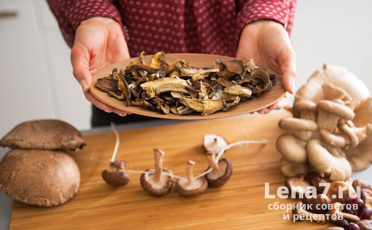 Как хранить сушеные грибы