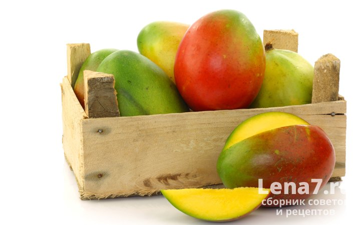 Правила хранения зрелого манго