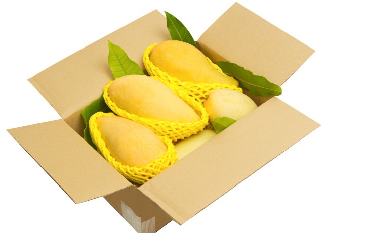 Правила хранения незрелого манго