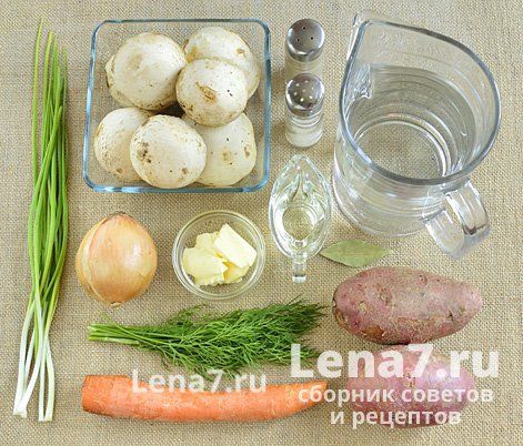 Ингредиенты для приготовления грибного супа из шампиньонов