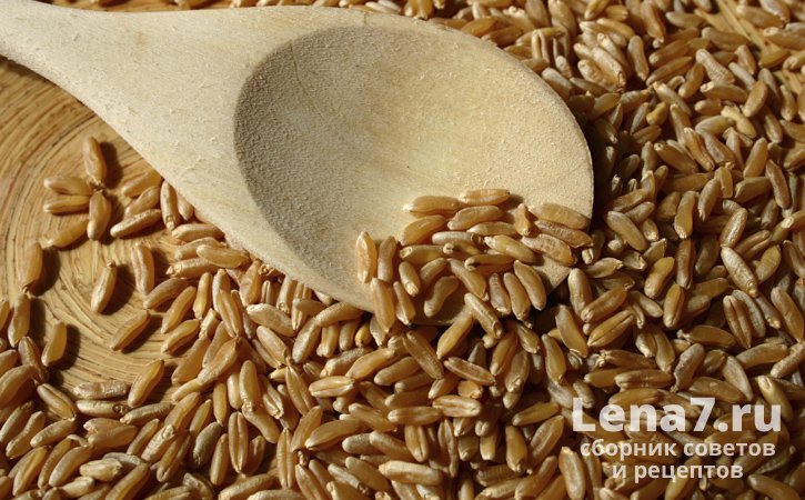 Дикая пшеница (камут) – редкая, но полезная крупа