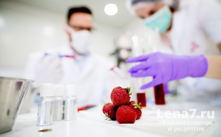 Как ГМО влияют на вкус продуктов?