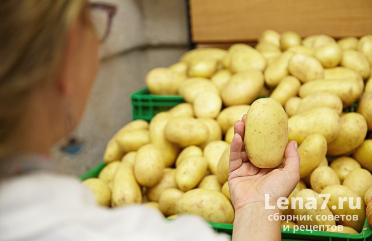Женщина на рынке держит в руке картофелину