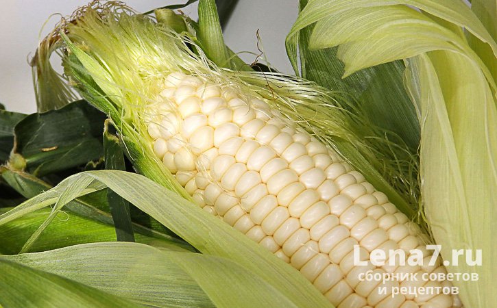 Как правильно выбирать кукурузу