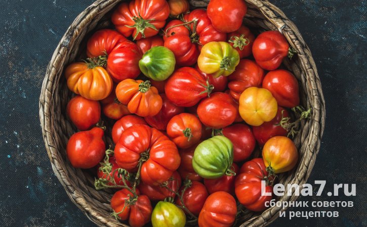 Как и где хранить помидоры в домашних условиях: важные рекомендации