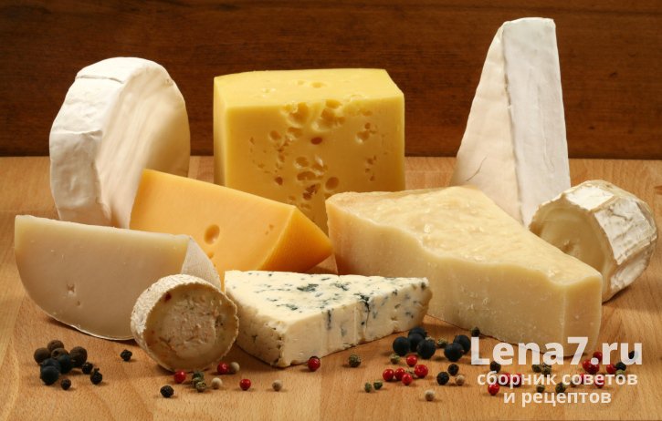 Как правильно хранить сыр: важные советы