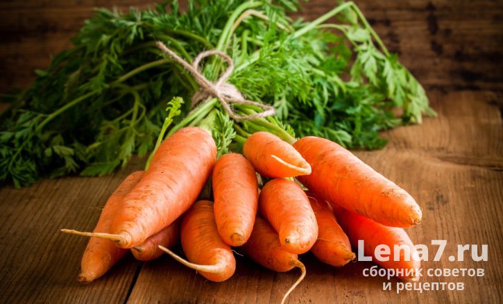 Как хранить морковь правильно?