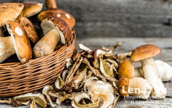 Как сушить белые грибы: полезные советы